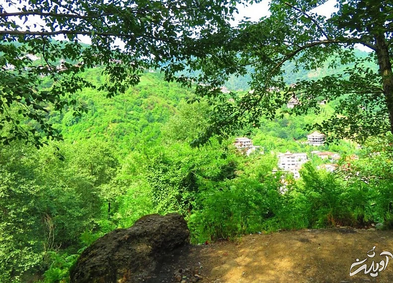 (تصاویر) آرامش جنگل‌های زیبای سرولات و جنگسرا